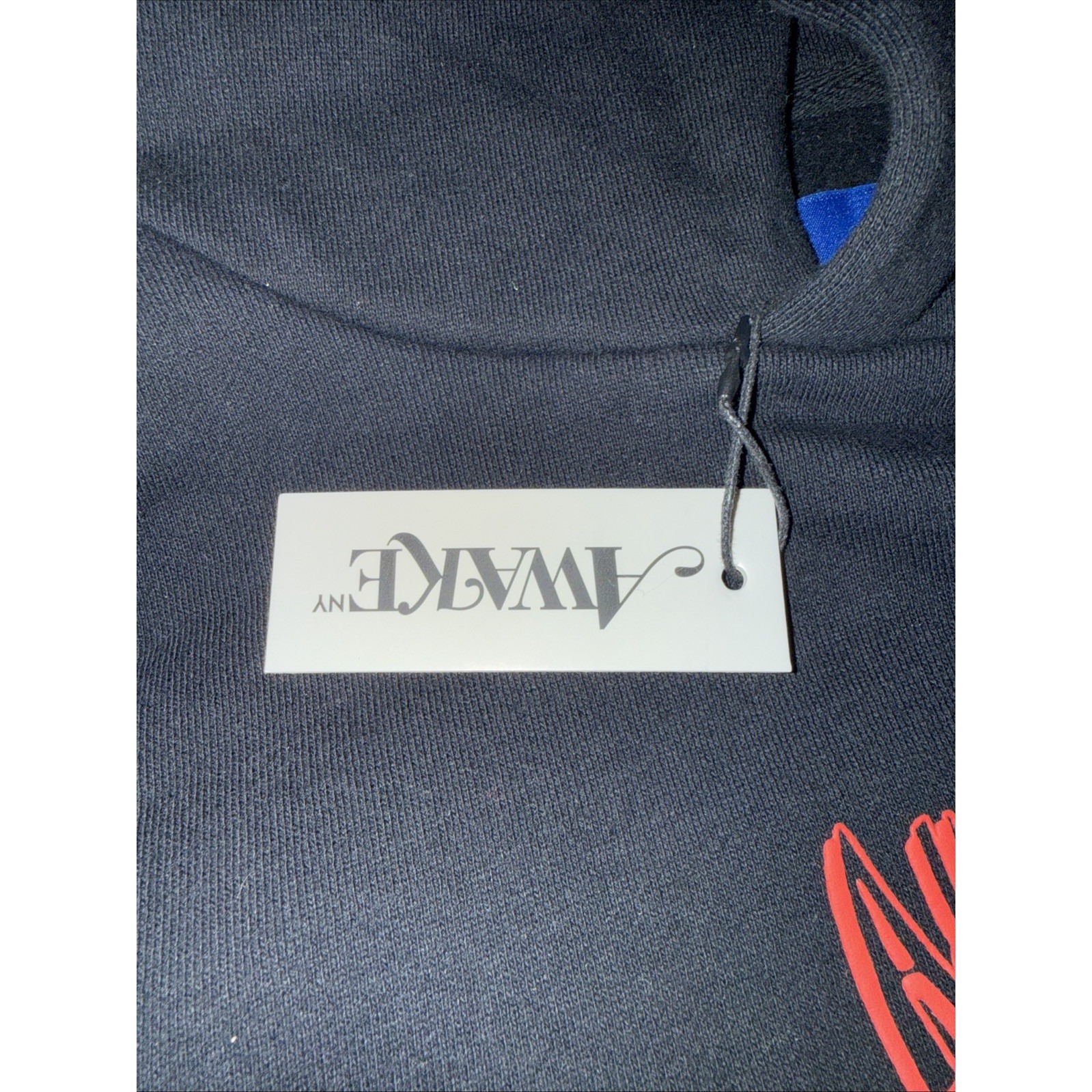 Nwt Awake Ny Globe Raised-Logo Cotton Hoodie Size Small — image 3 of 6